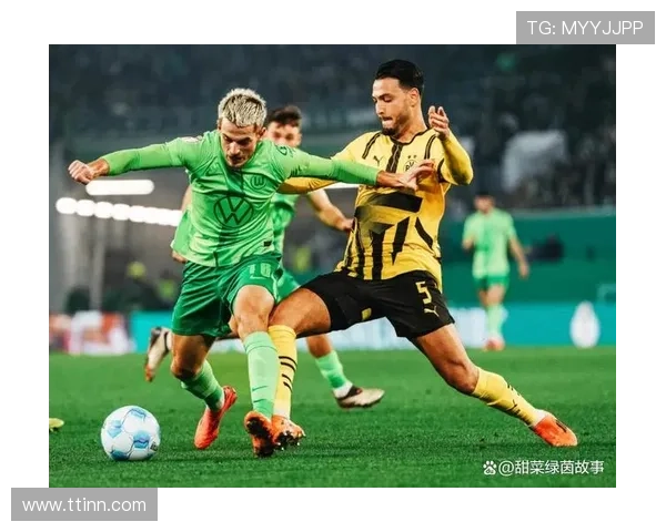 [德甲]第3轮：霍芬海姆3-1沃尔夫斯堡 集锦.